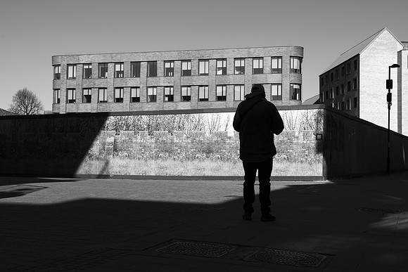 Admiring the Scene by Natalie Kinnear