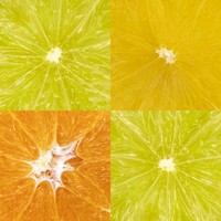 Citrus Fruit Corners by Natalie Kinnear