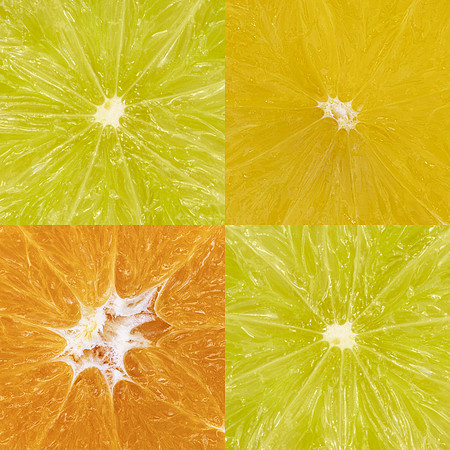 Citrus Fruit Corners by Natalie Kinnear