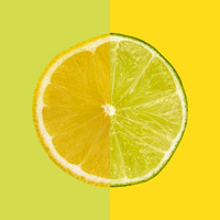 Lemon and Lime by Natalie Kinnear