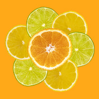 Citrus Fruit Flower by Natalie Kinnear