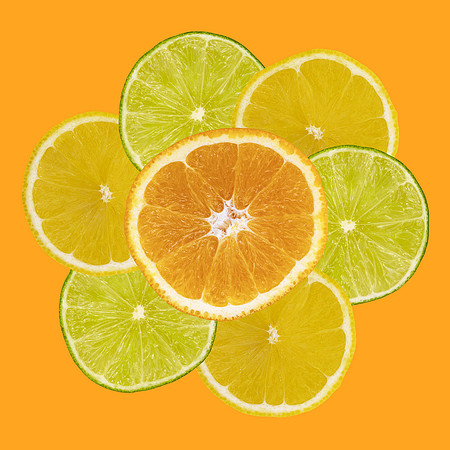Citrus Fruit Flower by Natalie Kinnear