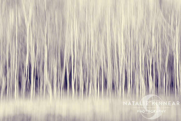 Forest Trees Abstract in Blue Ginger - Natalie Kinnear Photography - Print and Canvas Wall Art
