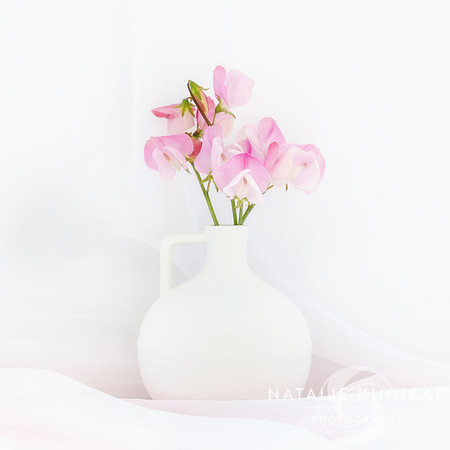 Pink Sweet Pea Flowers in a White Vase by Natalie Kinnear